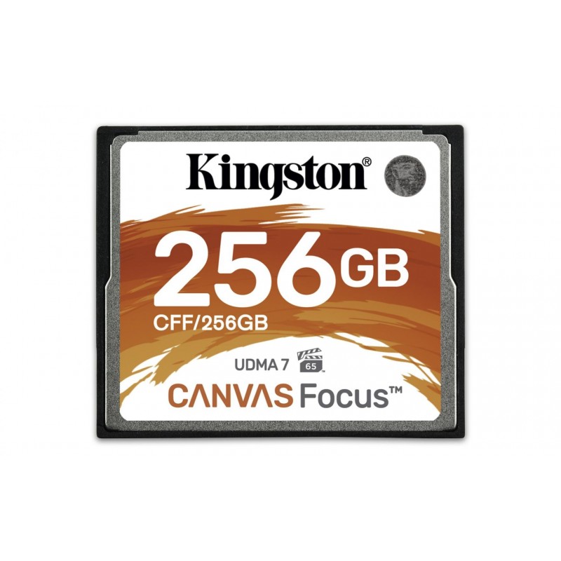 KINGSTONKS COMPACT FLASH 256GB CFF/256GB