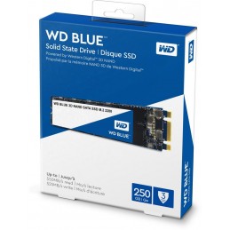 WDWD SSD 250GB BLUE M.2 SATA3 WDS250G2B0B